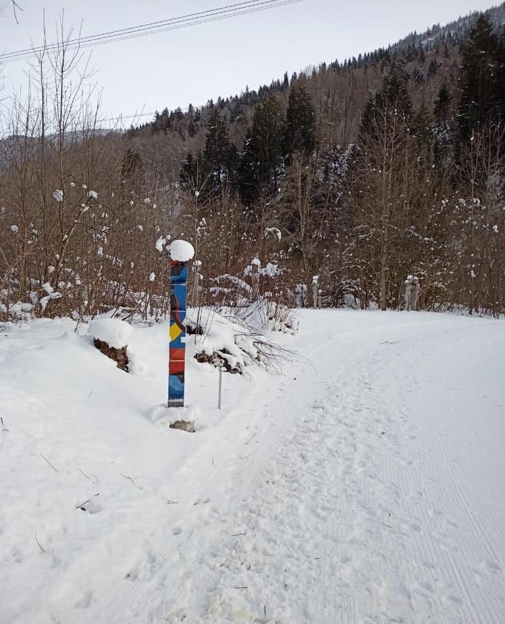 Casa Steilalva - grosszügiges Chalet für erholsamen Familienurlaub Surrein Exterior foto