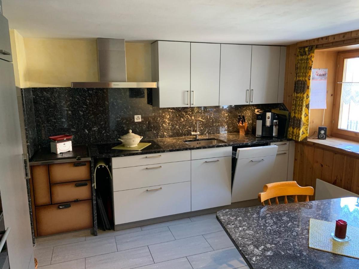 Casa Steilalva - grosszügiges Chalet für erholsamen Familienurlaub Surrein Exterior foto